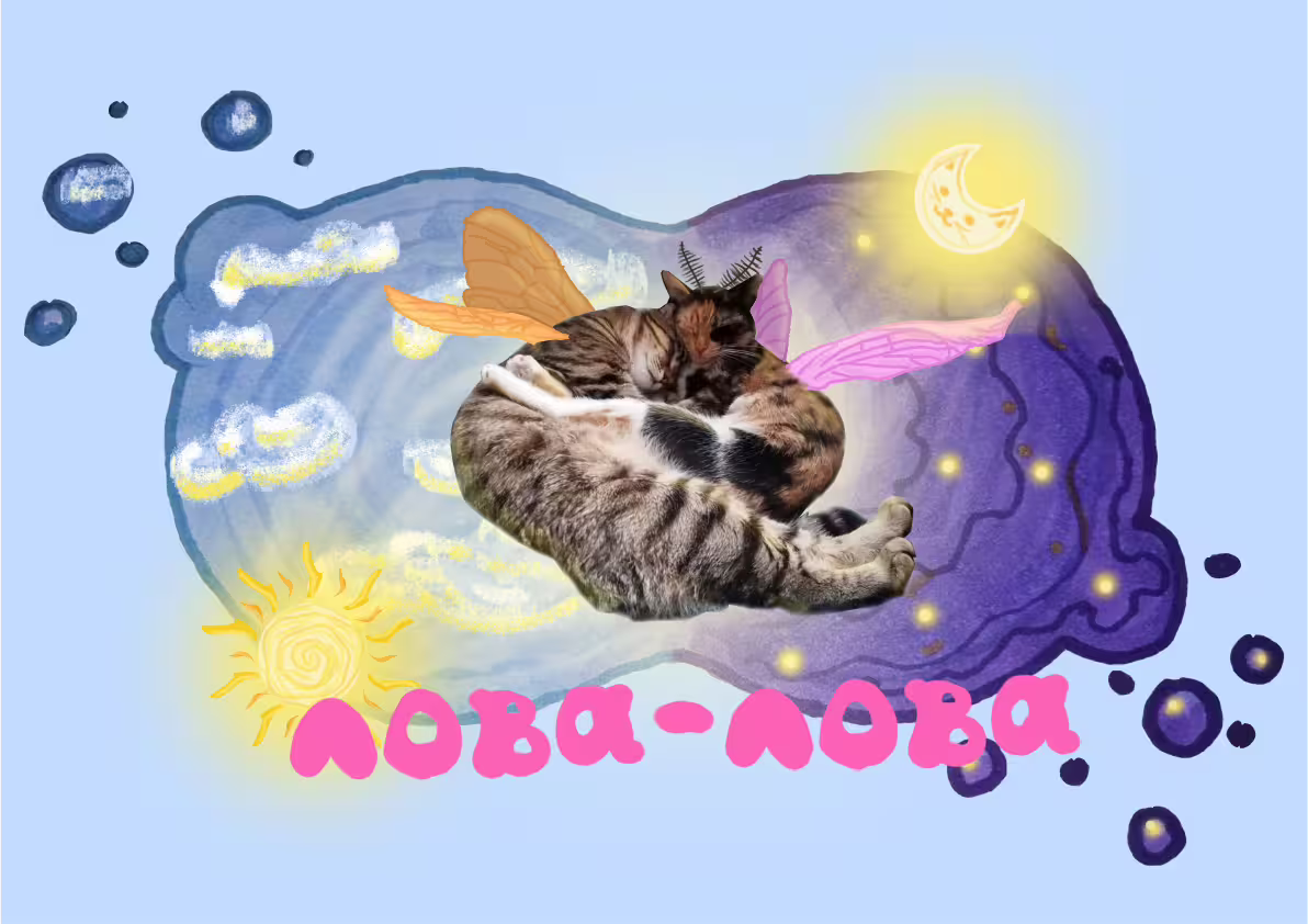 47448/pZ77jNMzT0SVDjXCG7BA9AzBzcMOwxg8kOKp2ocO.jpg