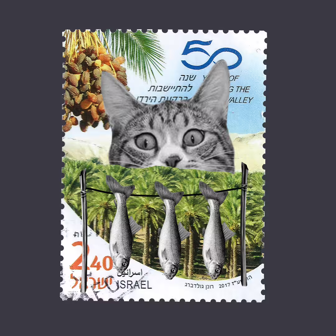 Кот и 3 рыбы.jpg