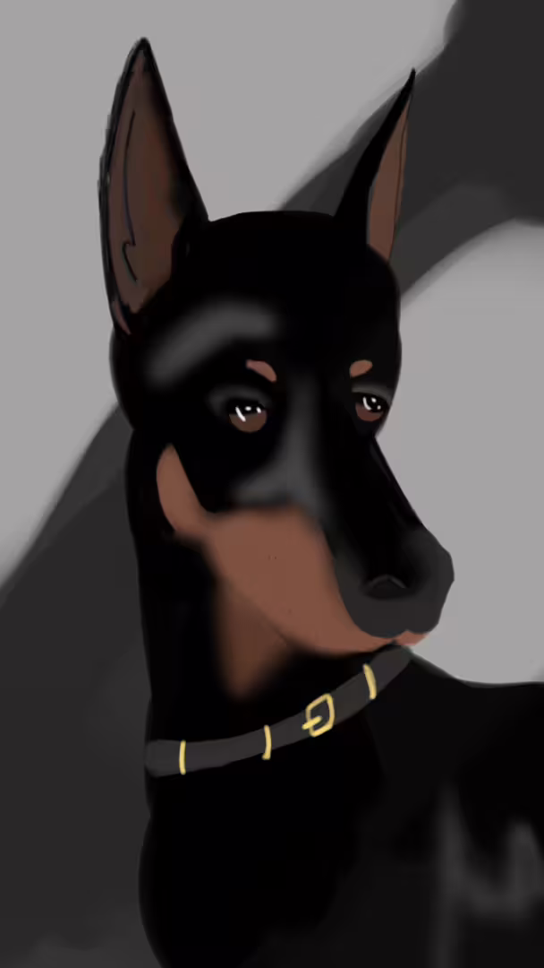 48137/FPFzeFvJBzs2U8ctX5lvKDipwdfzWx1l0Tg0nnrG.png