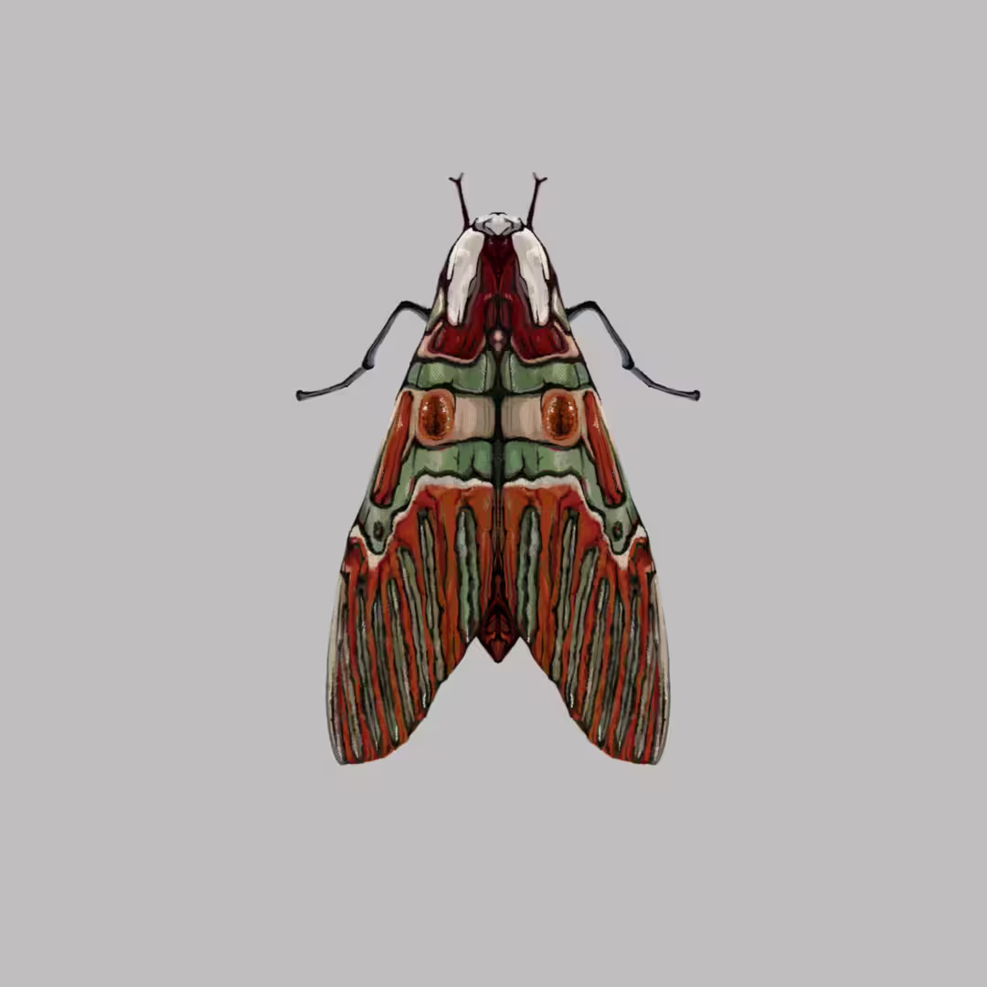 48225/Df1imNoq3LAAV4a5y02VArRG0W3FsWDcTOr5jcRA.png