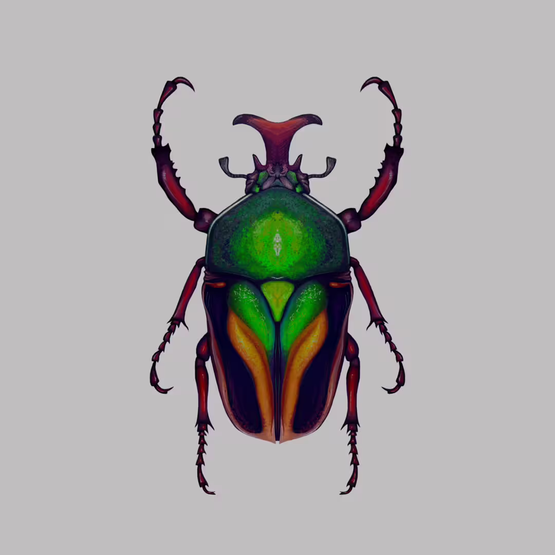 48225/ZOCRLh88JRTumm7uHgjRqdDG7guynM74H74iY9O9.png