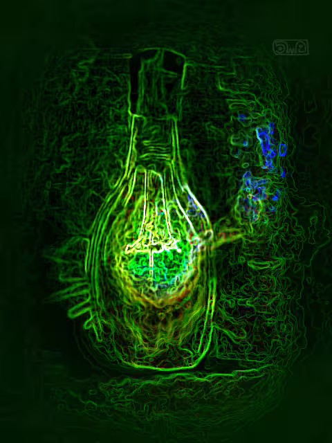 48345/ytCRTJPbnzENfeZVVwLIpNtOI6Vsi0Tv6CctDMFO.jpg