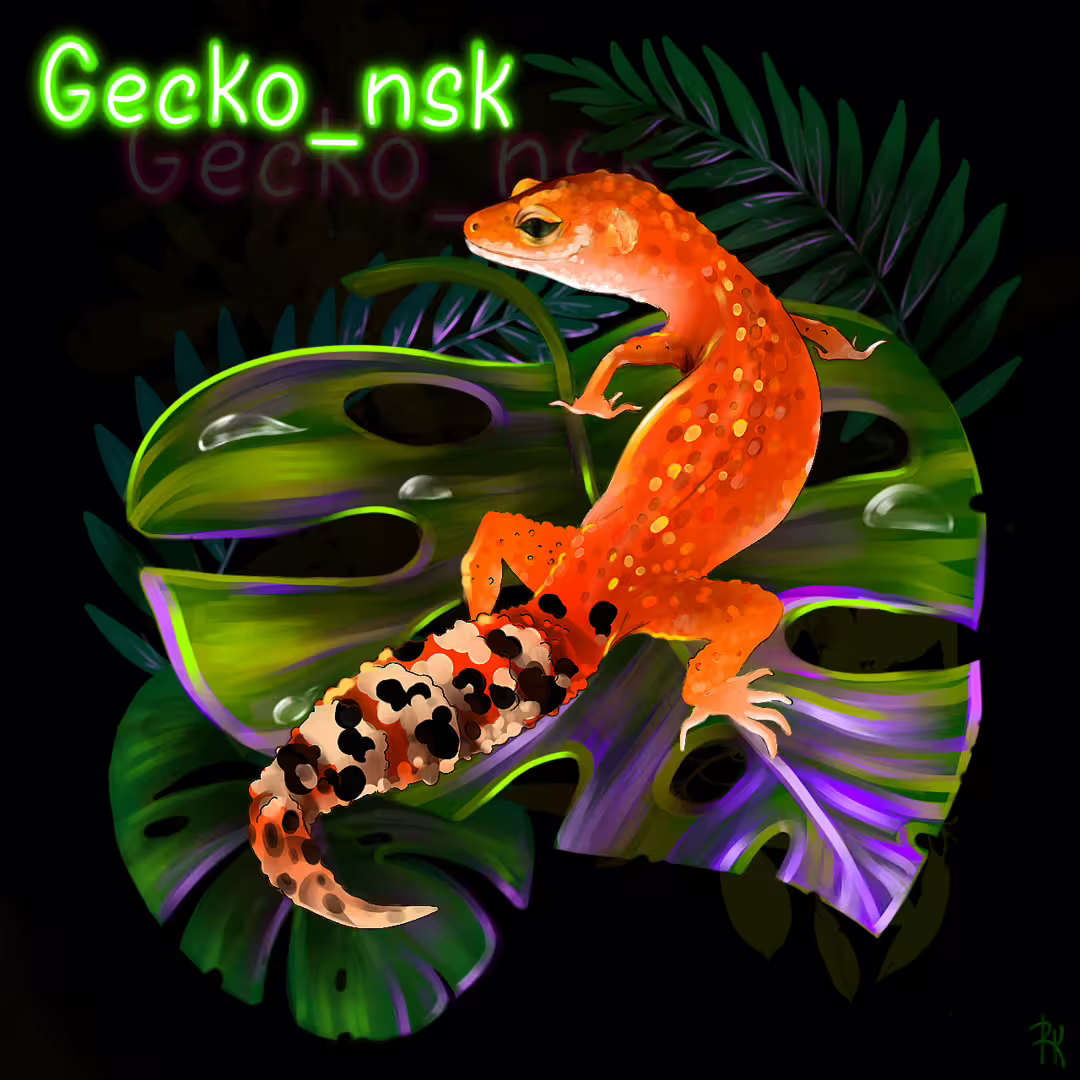 48459/9KFTaMFTWztI6H2cfc8cazzFhJn1gjqvrdbhgKj5.png