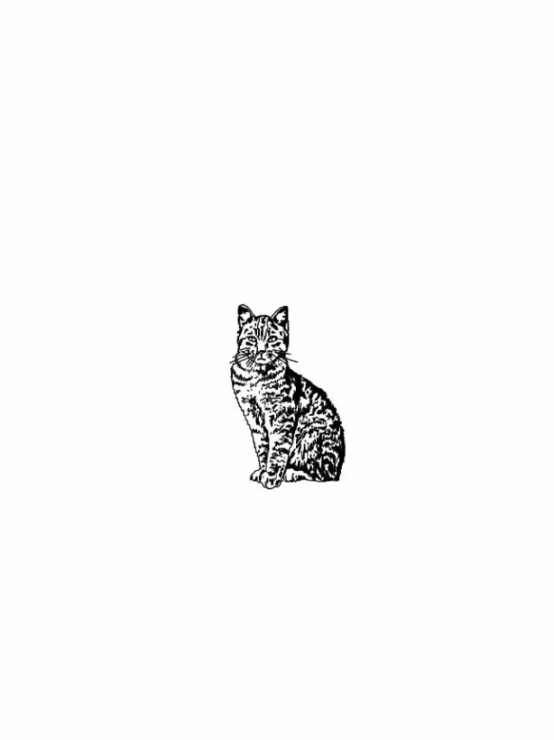 48498/JPNDGDlLu5uMTRN7zXGa1mvaEgfZjjr38WFQbUIY.jpg