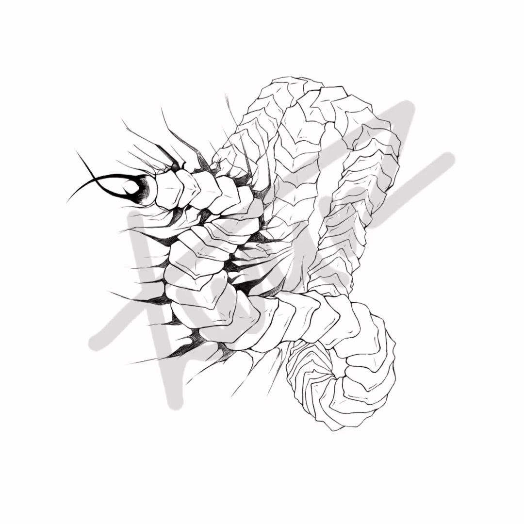 48862/ixfjfAX97x4i6gsm6W6XMhKuZ7I6LdanPeEpmMgP.png