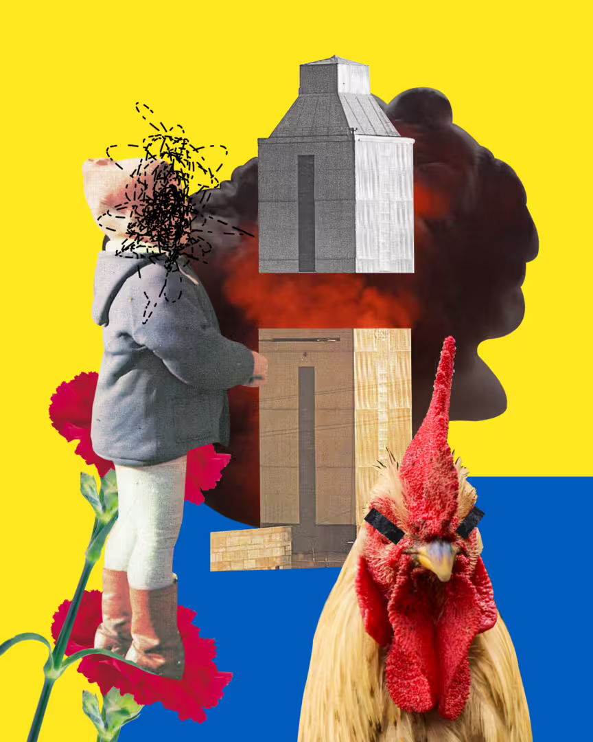 48869/iAAQa5UKNzoX1NbUBaV2slHz4qtDsC02ZbDFu9cT.png
