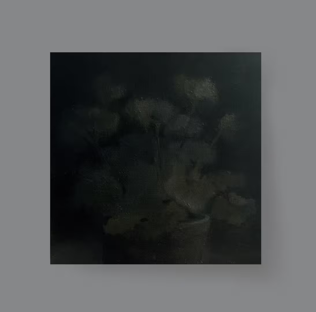 dfbn.png