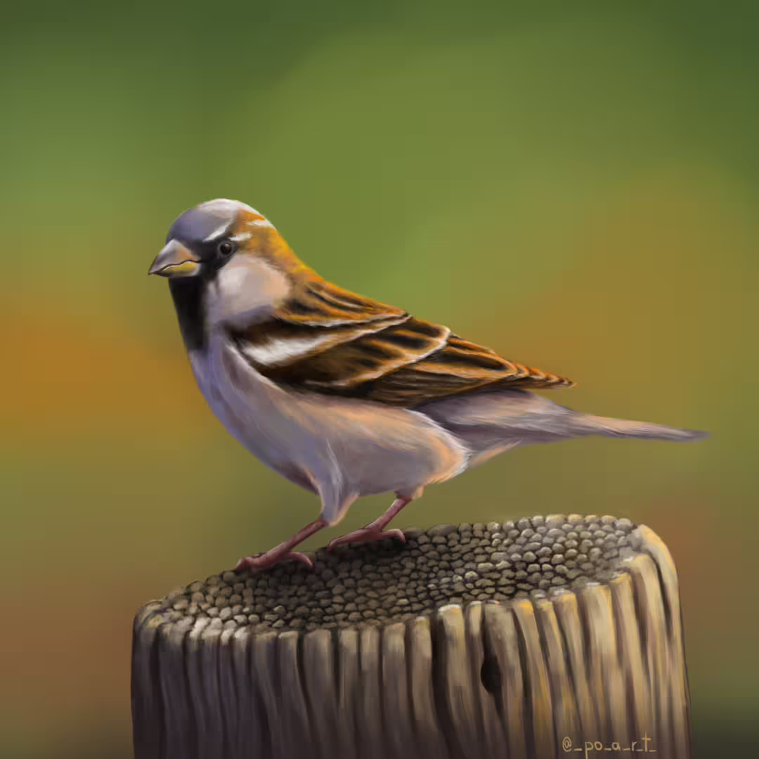 49082/XQO9HStQKFO5SxCAjPDZVVQEl5kowPLtLWMvLGx1.png