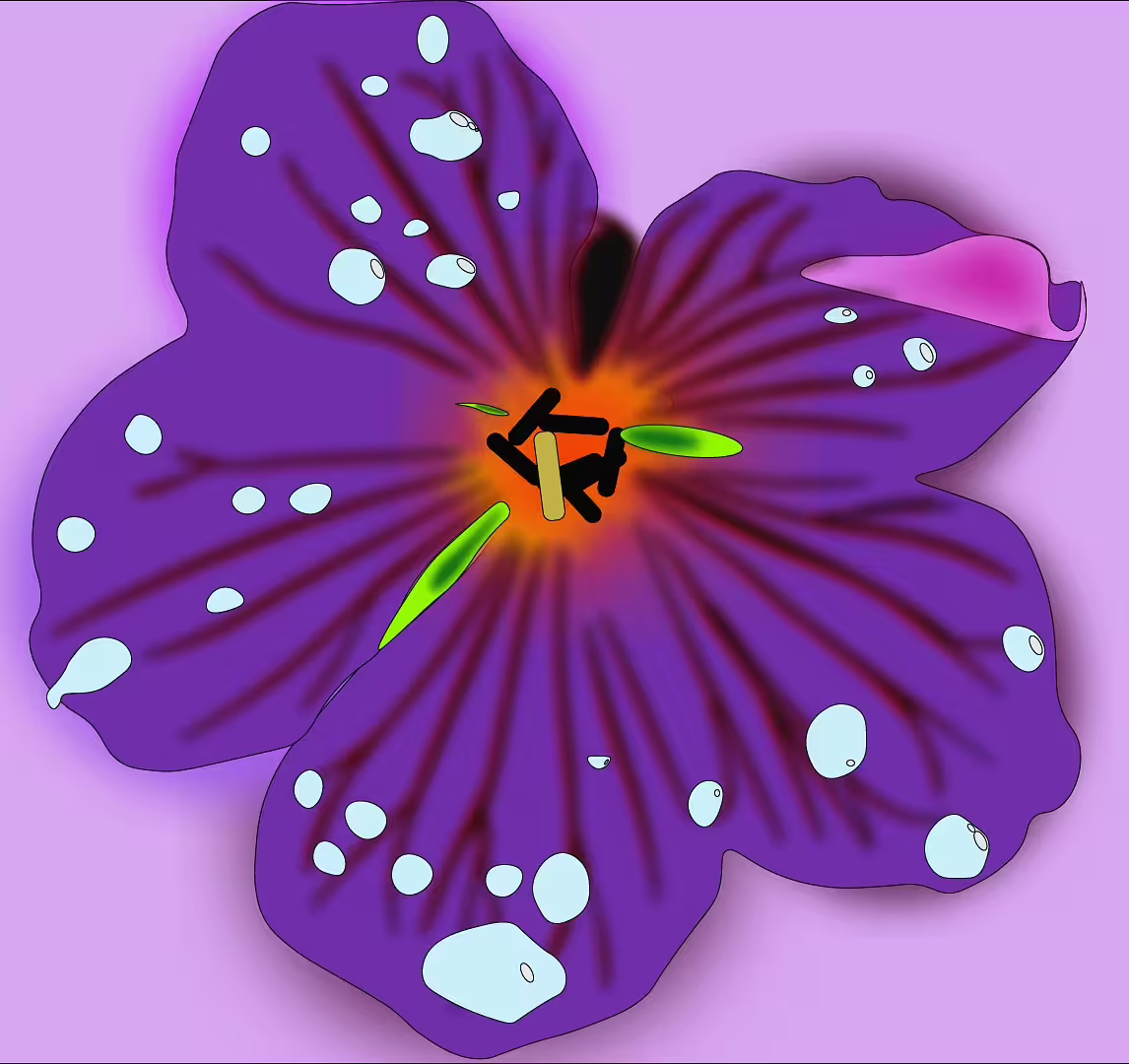 49125/Lz5sxVUzdRn0899lccmJlcLZb9RuG01UQ2iuReMl.jpg