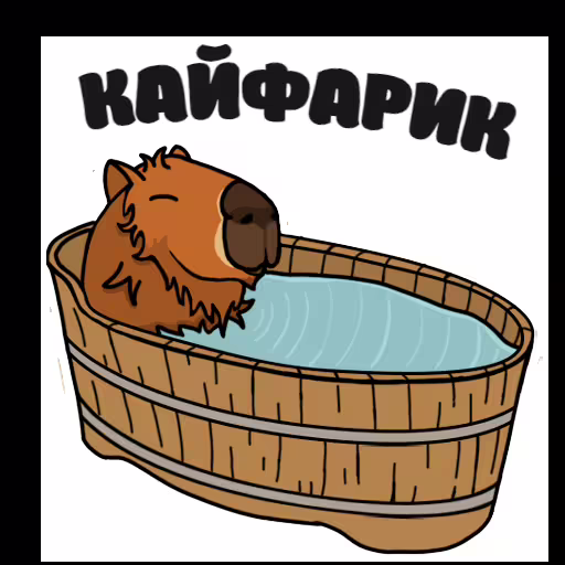 49406/L9xB07IXNbMqCq8txRz2AMk067tkPZbX6jcdhy3u.png