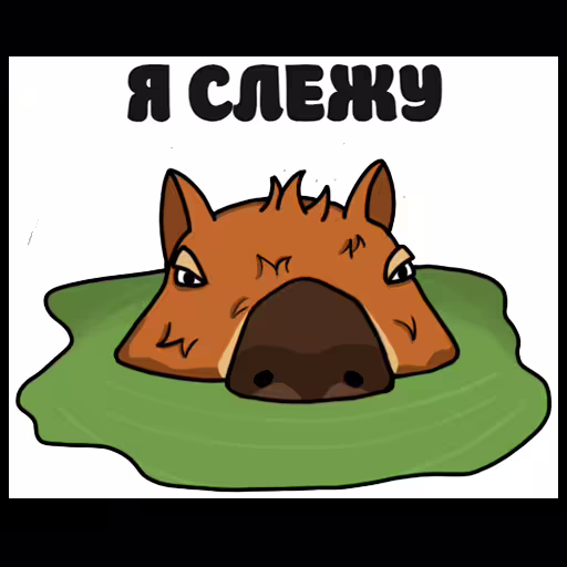 49406/SfOlVBkA0LH895OUxTSWSSQ8dOk5JIZHshwFHLcr.png