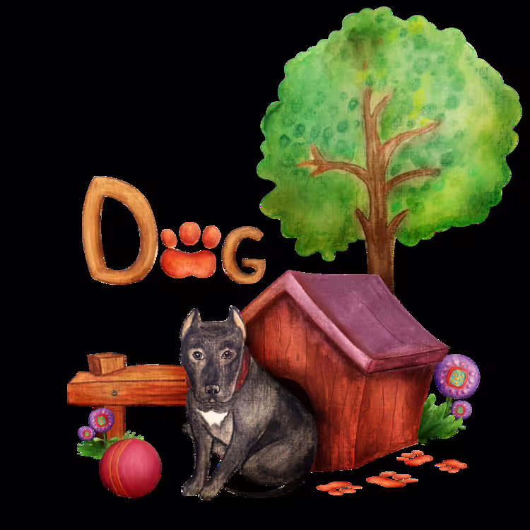49444/gpJKQ9yqml3K1zrHFAdfCTqKpHQR96P1lVl9fFqm.png