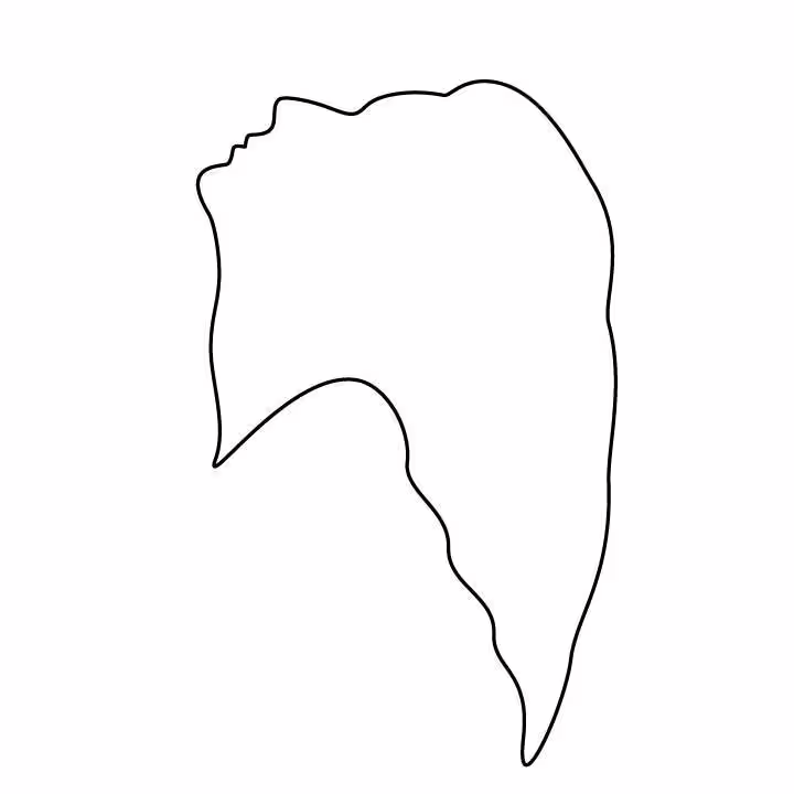 49619/N5Arq0o1WJL7WZ0PO4vKEJuEuhXlgS2XAOCBT5Tc.jpg