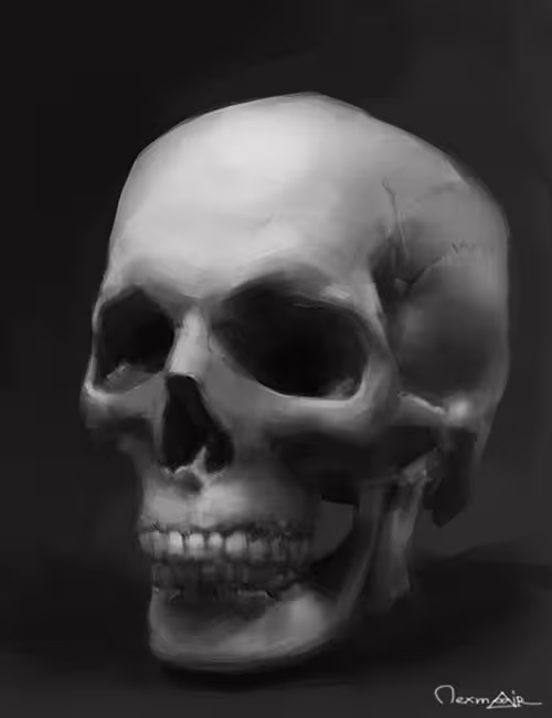 49715/ROBrJu2cWTlM4S1uUREby58cP63SNMBU3LPjwZYh.jpg