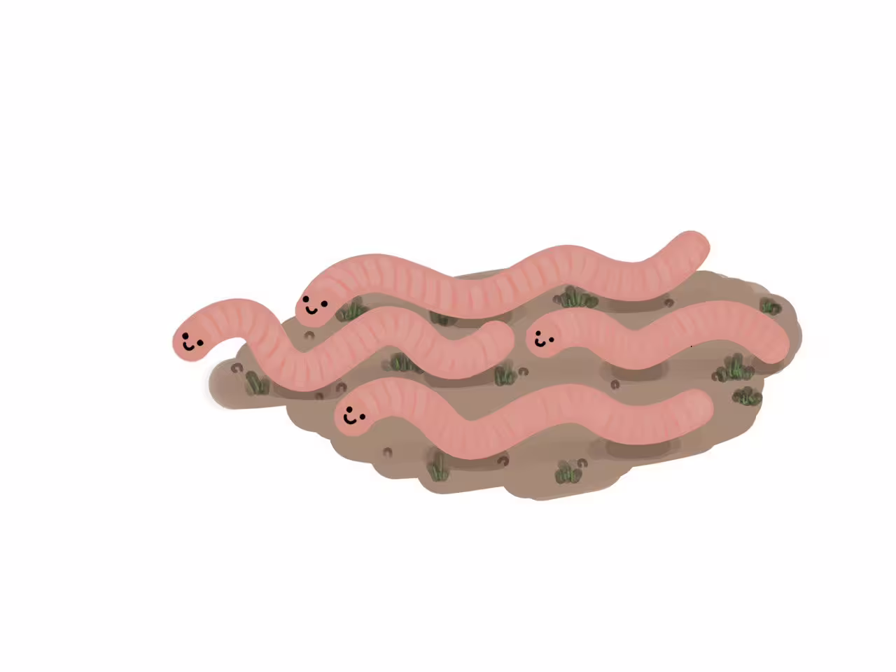 49766/3D3d4WgyOrlYUBLxPt2XmP6xc5VczEmT1DtQxNn1.jpg