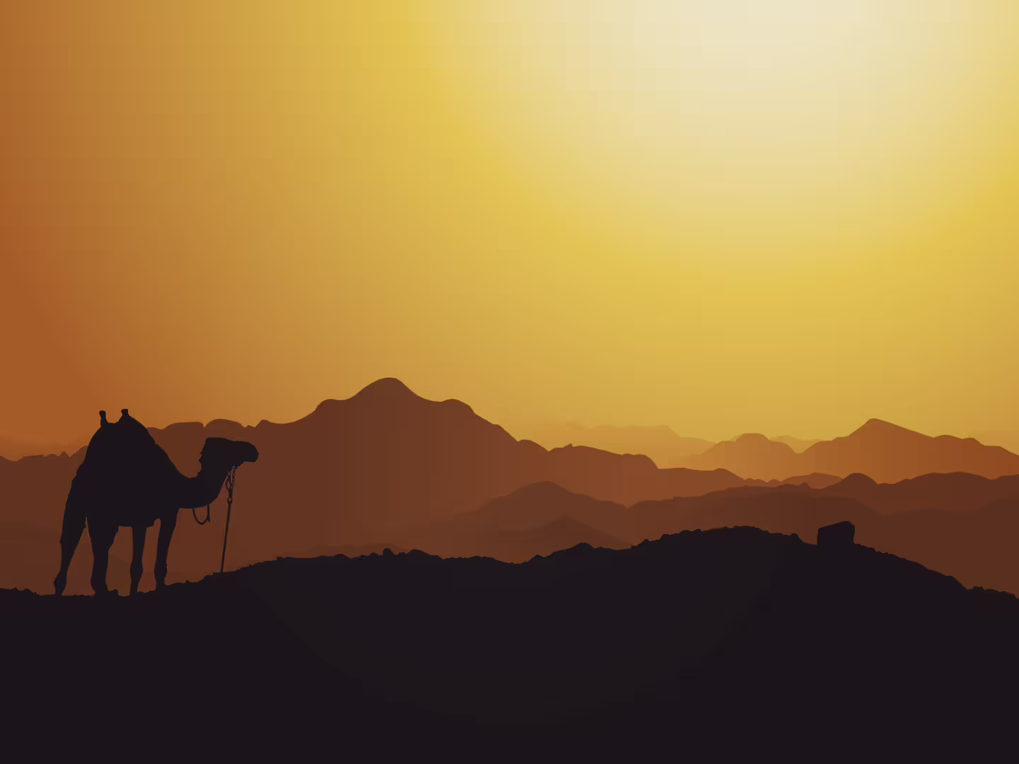 49856/e32VXW5jbfjeEvYNBc6w2BWny4JLfnVSLFBtKizm.png
