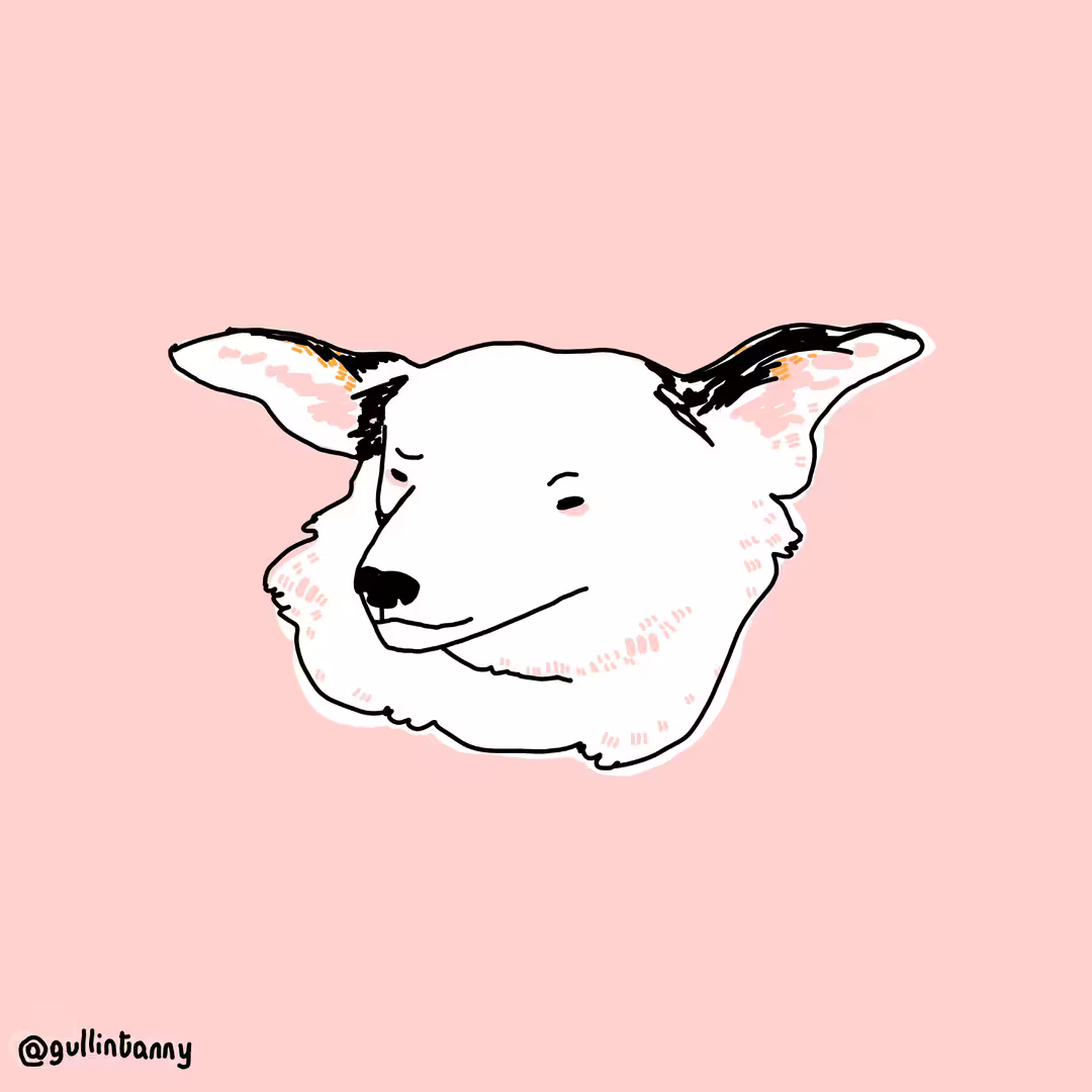 49895/JWJcPUGivbbTJZDTt0IZbH1LAeMMOIdszRBbkSgx.png