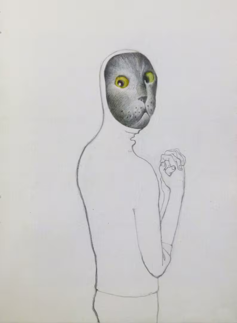 50020/aV3UqOnoUVxhBVBxsKrvb6ahl2k0AedabQve5REV.jpg