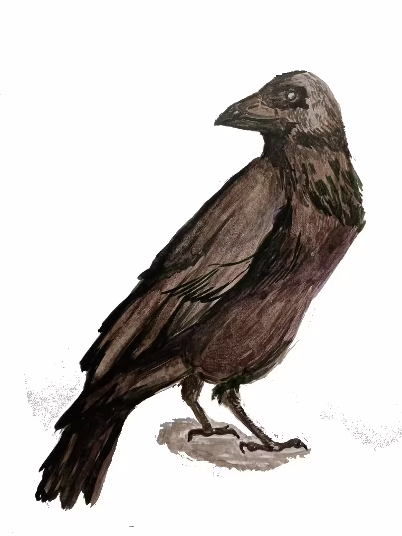 50145/xzKp5CKNBVpCheFhuTHBbUjuXzjPEsPqCl5HUpKF.png
