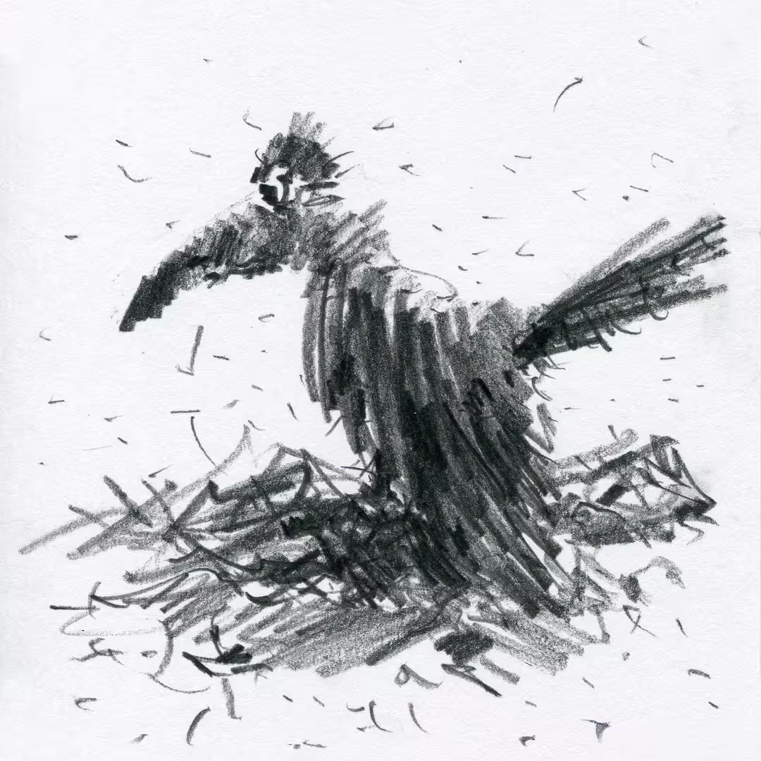 img554аа.jpg