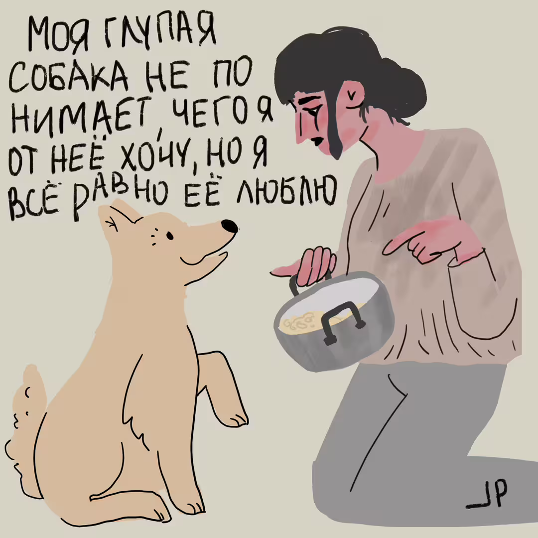 50958/KewkTnoxEeHXSZIMBZS1kQk2Bso2X9Wj6HCuRvB9.jpg