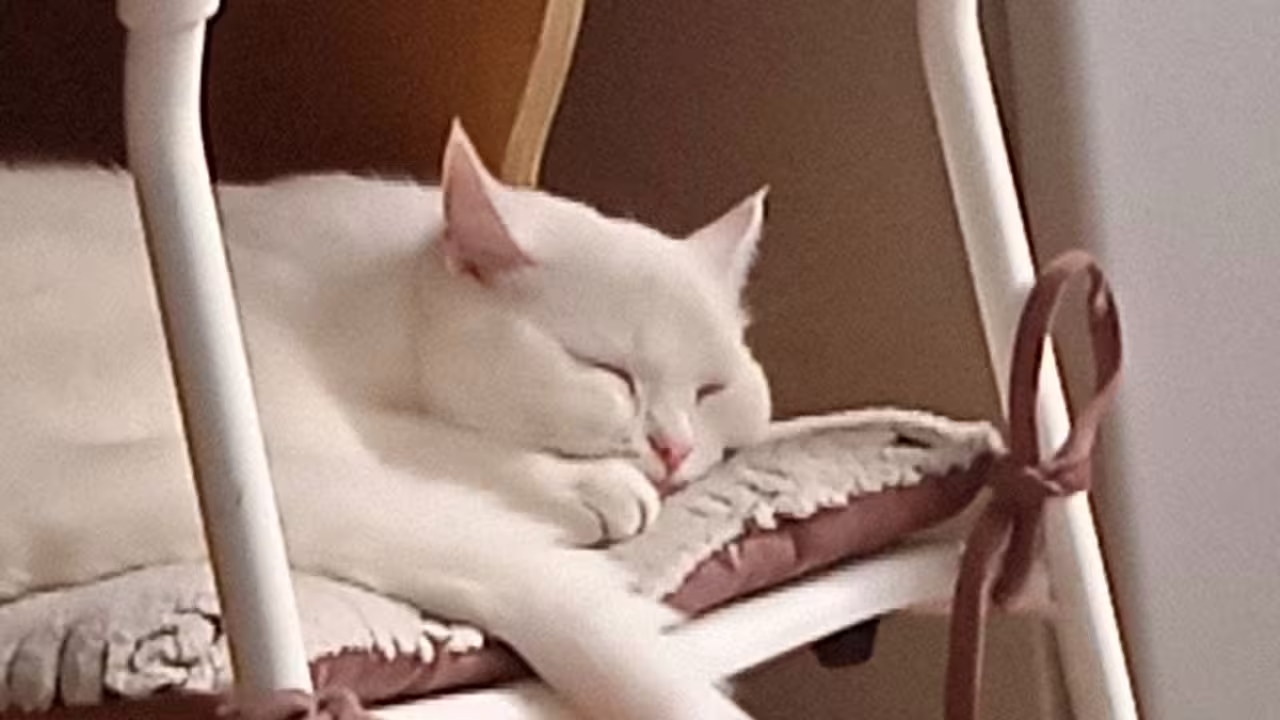 Аватар пользователя