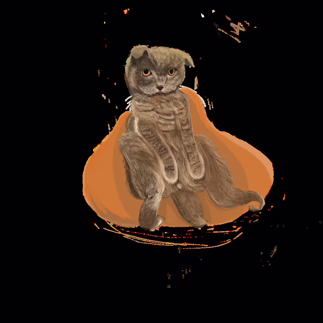 51119/DwvLVlVwgmEL0QBUqNVZXy0oA4KnrUFu2jPRKCtR.png