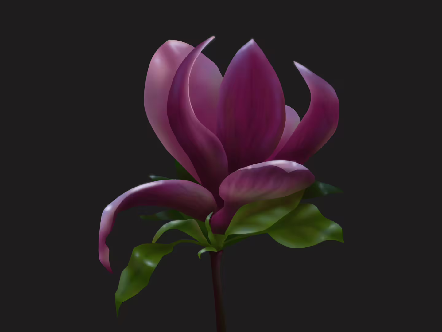 51191/tATcaxrLCOiqvS1qmf3XMqXZQJcnwD124tOYUJPh.png