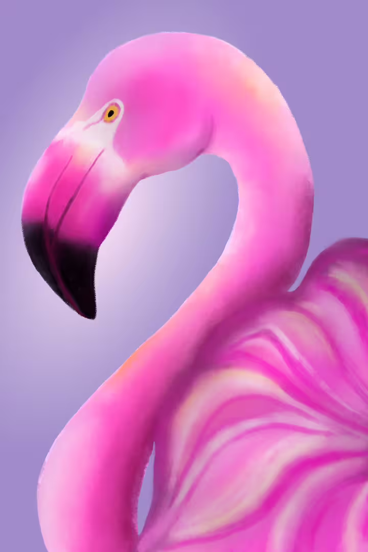 51296/aMNdUP4IroQNOfo8NCUHHNZNmVKJuHl35cg7FB8t.jpg