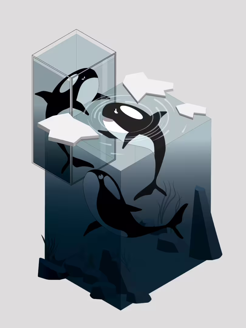 51340/fjfZEFuw35nGtXTaBJoIOfv8vP0uMUrK0rbYfusW.png