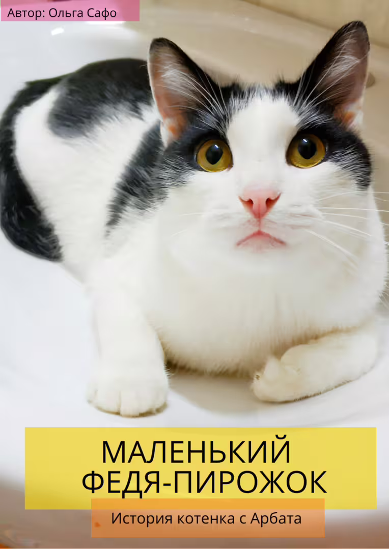 51563/8MOTRAZGUKfkIY6v4V2c2mUl6CHISTLDnmDdcdVt.png