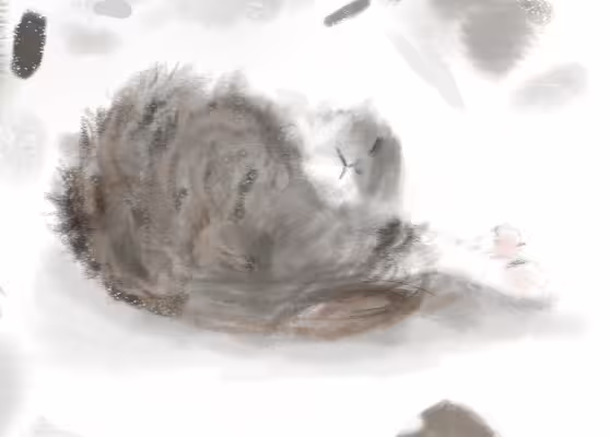 51845/V0wA2ndzTTZS0I7jyIz8y7YeSYwNZtx24bqXNRH1.png