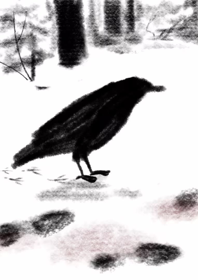 51949/21fjlJ9r6JouxKkYGB5CptbiSwL4KWCOtJ6qeVmY.png