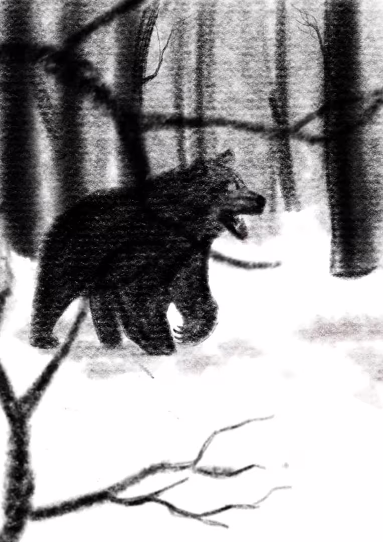 51949/C185nWDpgcUZpEFy9wndz23SSlhZDXQugoj5hSs1.png