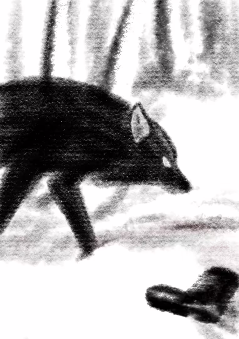 51949/EWfvqmlKKpio21hqVeQ6AFQqe4QLfdHBadtw7Dvd.png