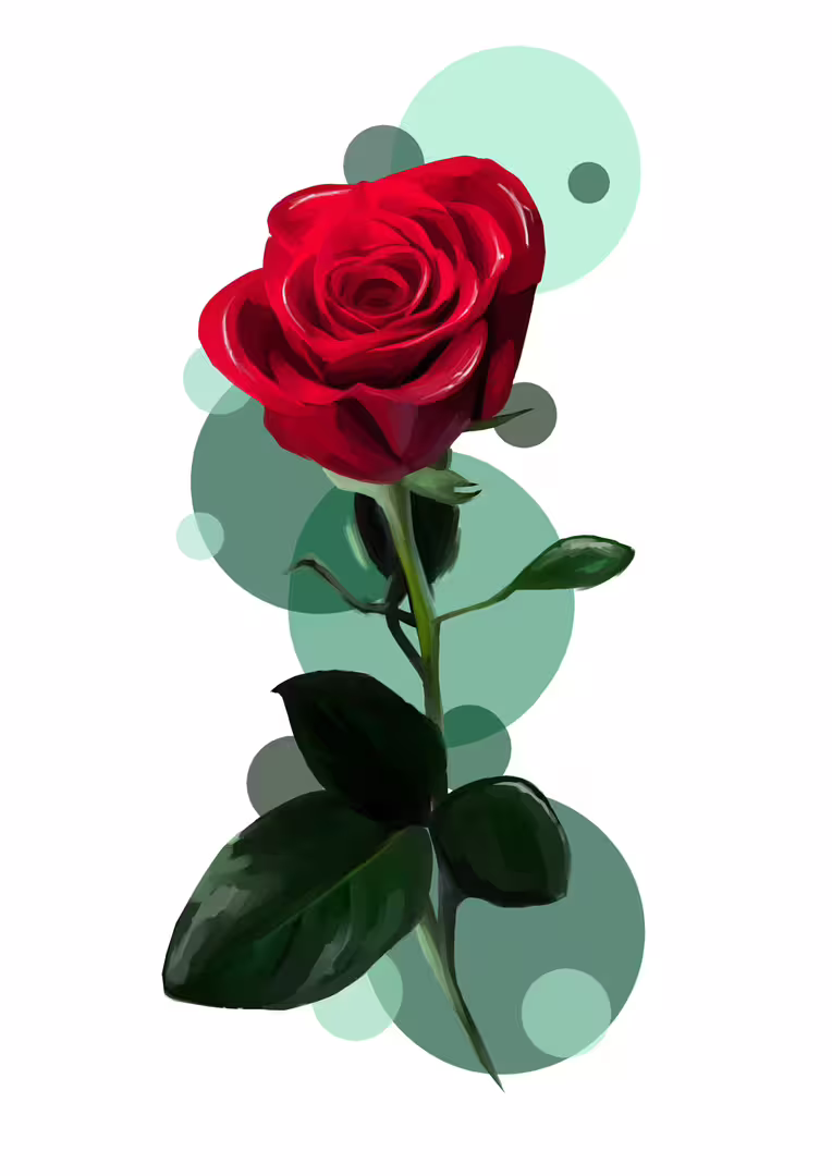 52094/dEBEGnBgOEc3jQJv4iqyc43mfSB6fn1c2PMdTQJu.png