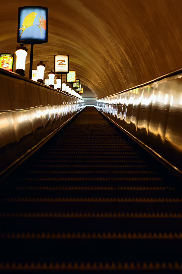 Efremova_Olesya_Nikolaevna_Tunnel'noe_Videnie_proekt_2-1.jpg