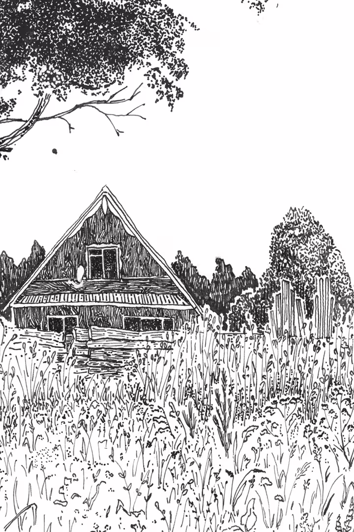 aСкан_20230701 (2).png