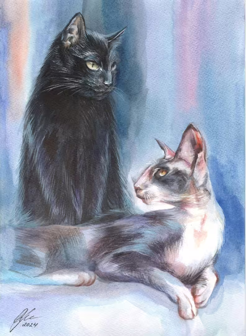 Кошки.jpg