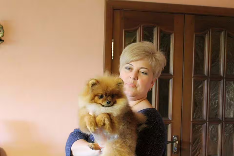Аватар пользователя