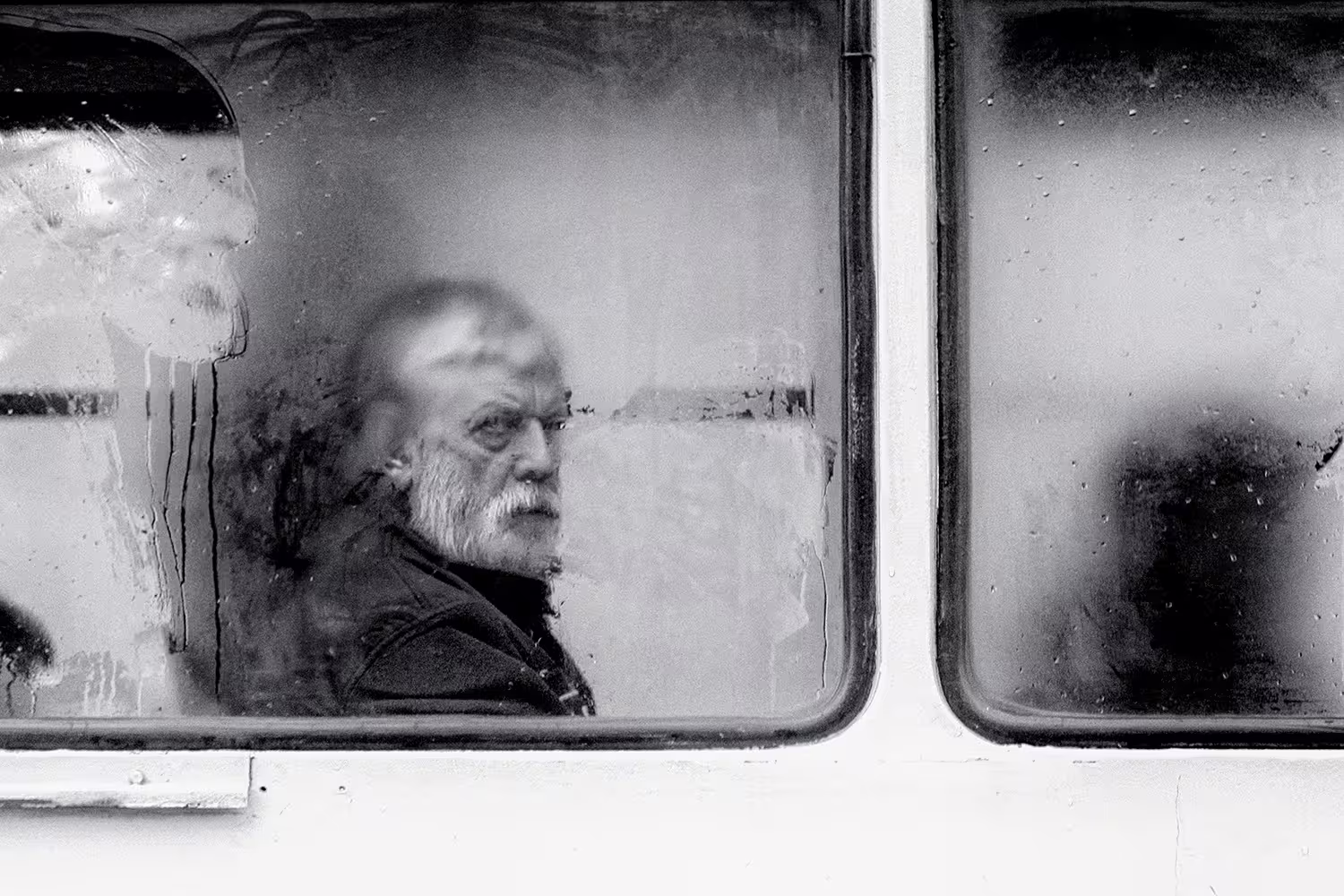 Predator_Sergei Gelman.jpg