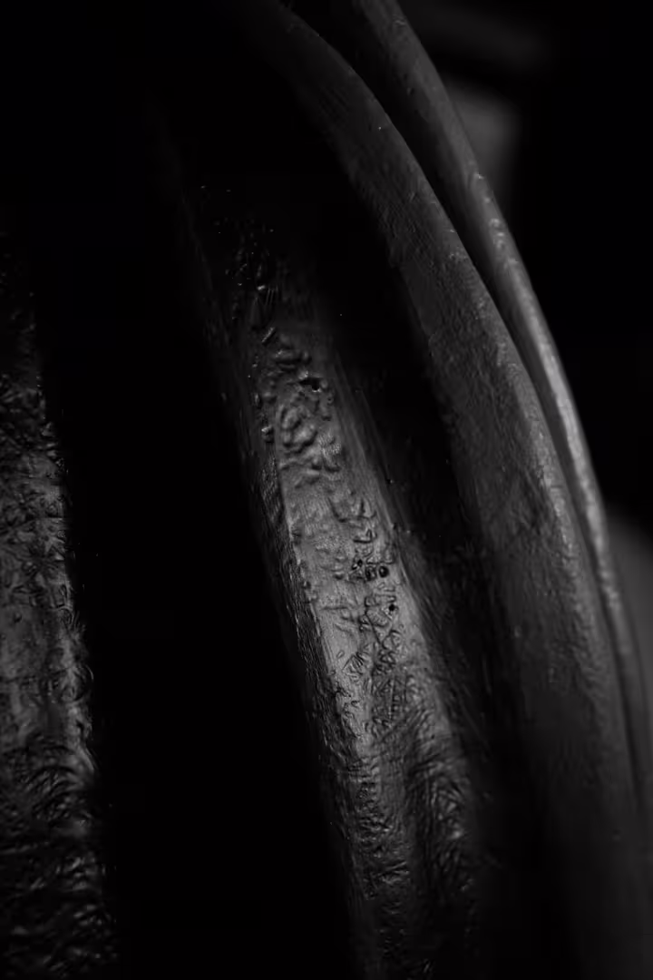 Seeds-1-foto-Evgeny-Vtorov-5.jpg
