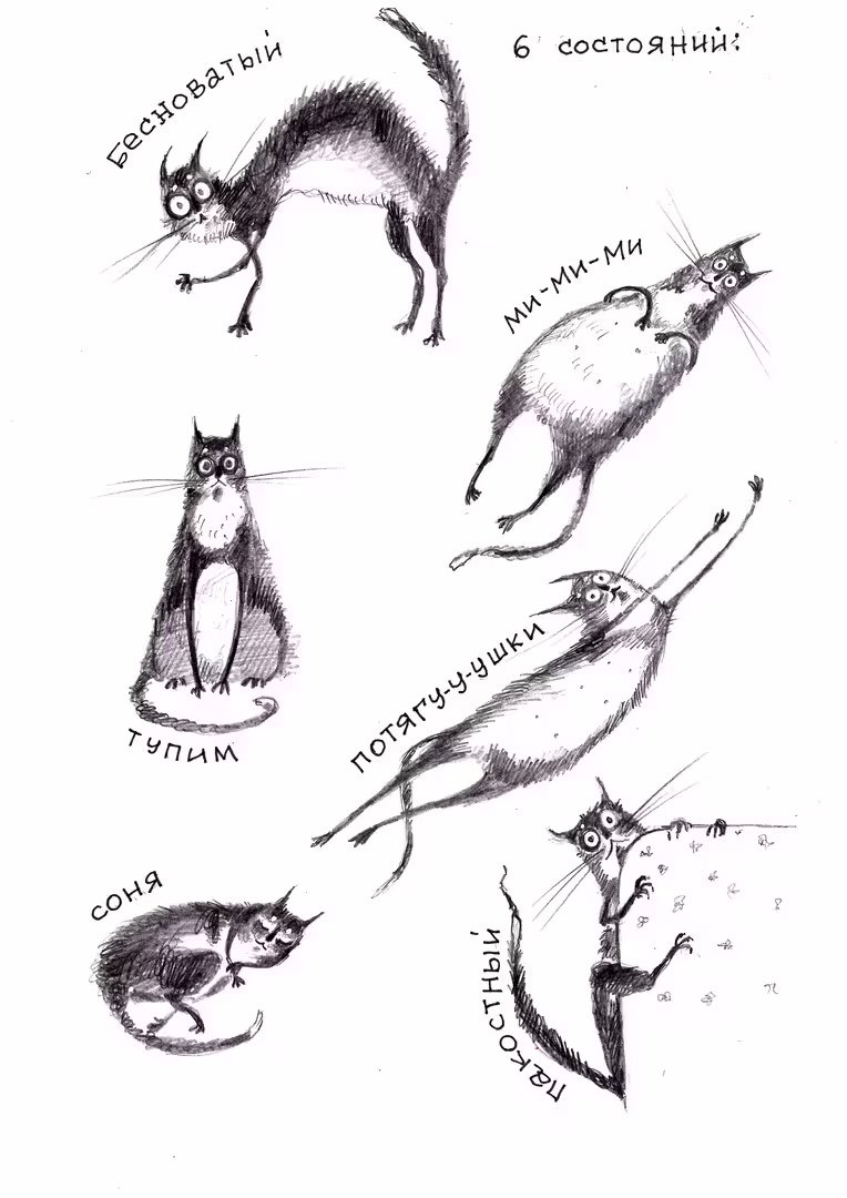 котя.jpg
