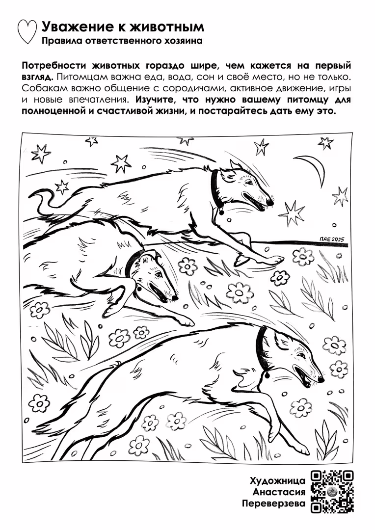 Слайд26.jpeg