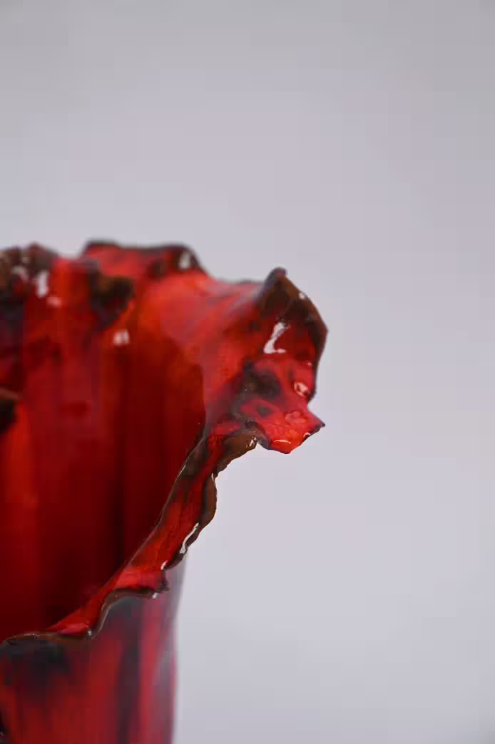 DSC_0901.jpg