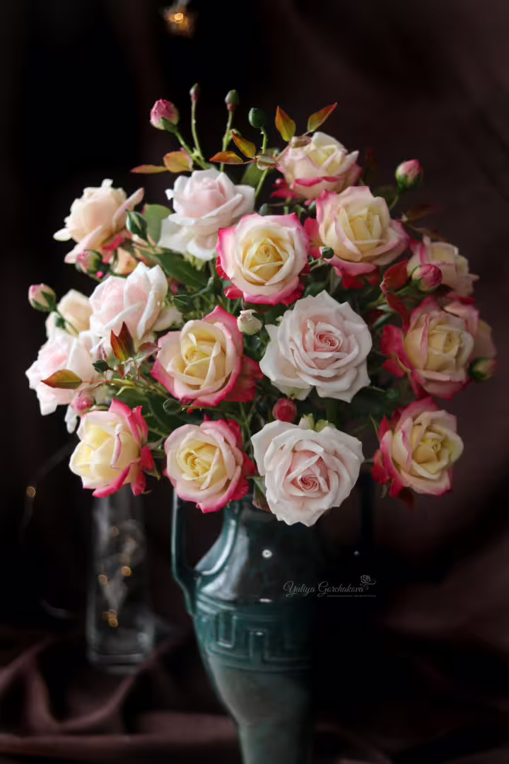 LogoLicious_20211231_124239.png