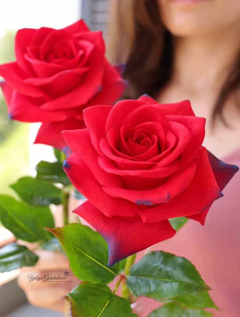 LogoLicious_20210707_182027.png