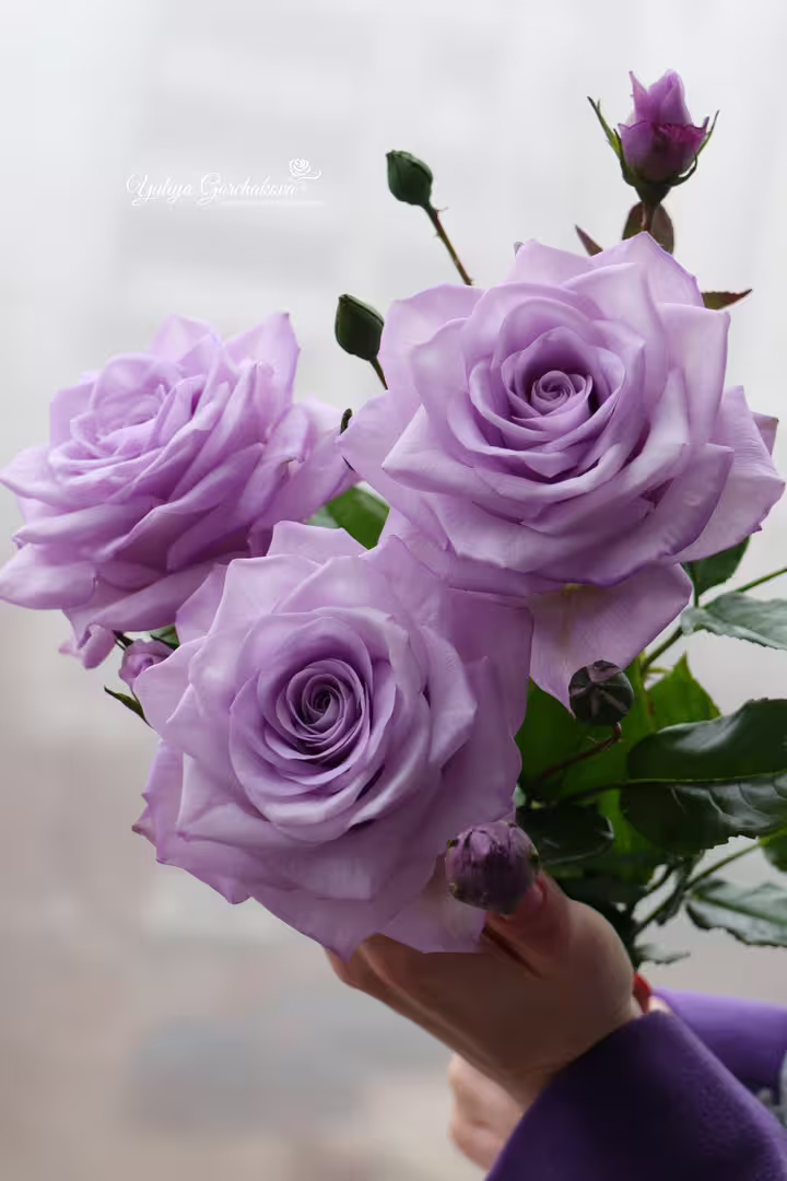 LogoLicious_20201128_191920.png