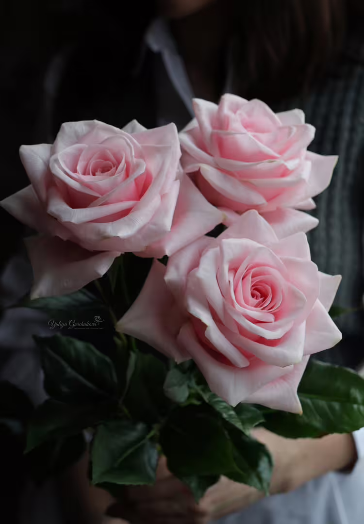 LogoLicious_20210202_193303.png