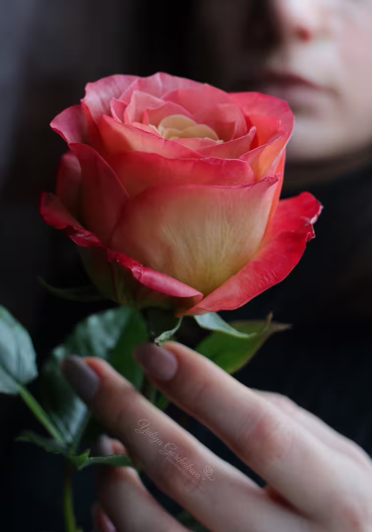 LogoLicious_20210215_185147.png
